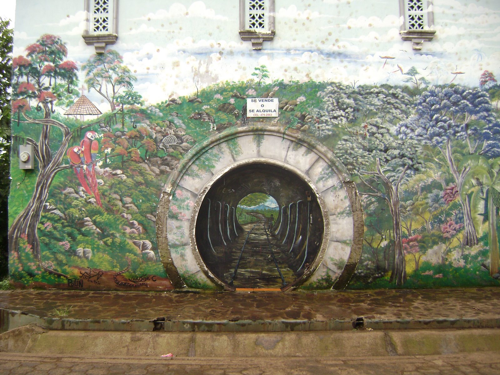 [DSC00011.JPG]