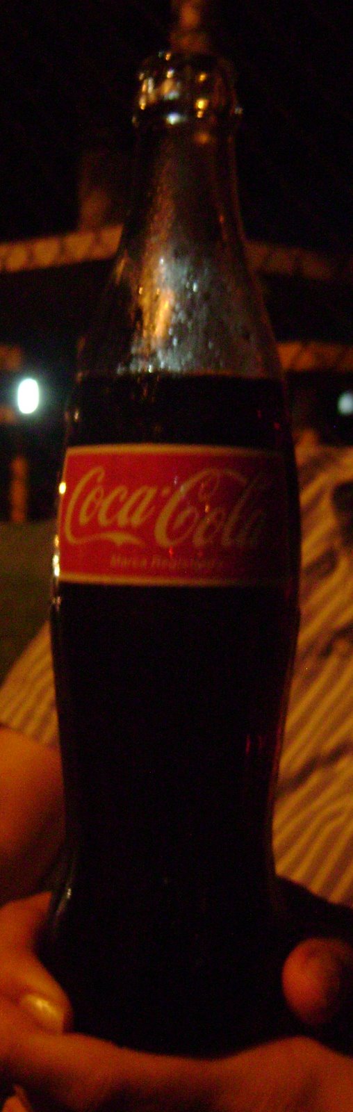 [DSC00028.JPG]