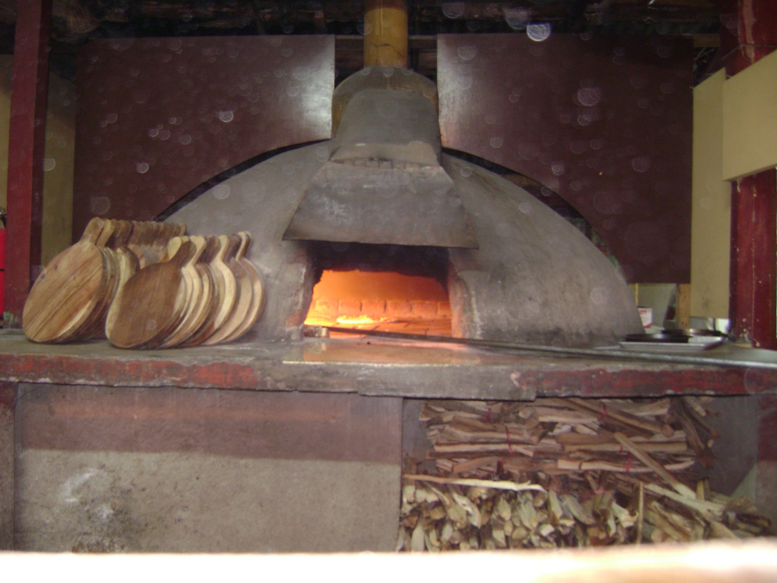 [DSC00020.JPG]