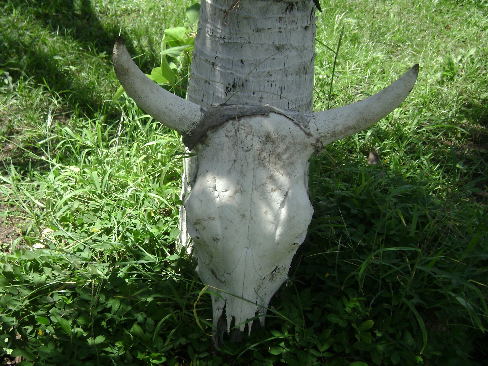 [DSC00024.JPG]
