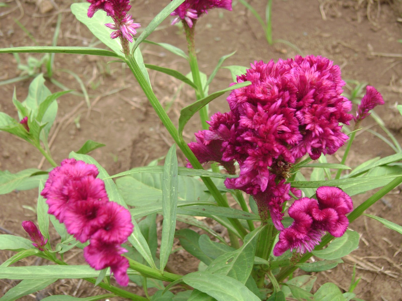 [DSC00024.JPG]