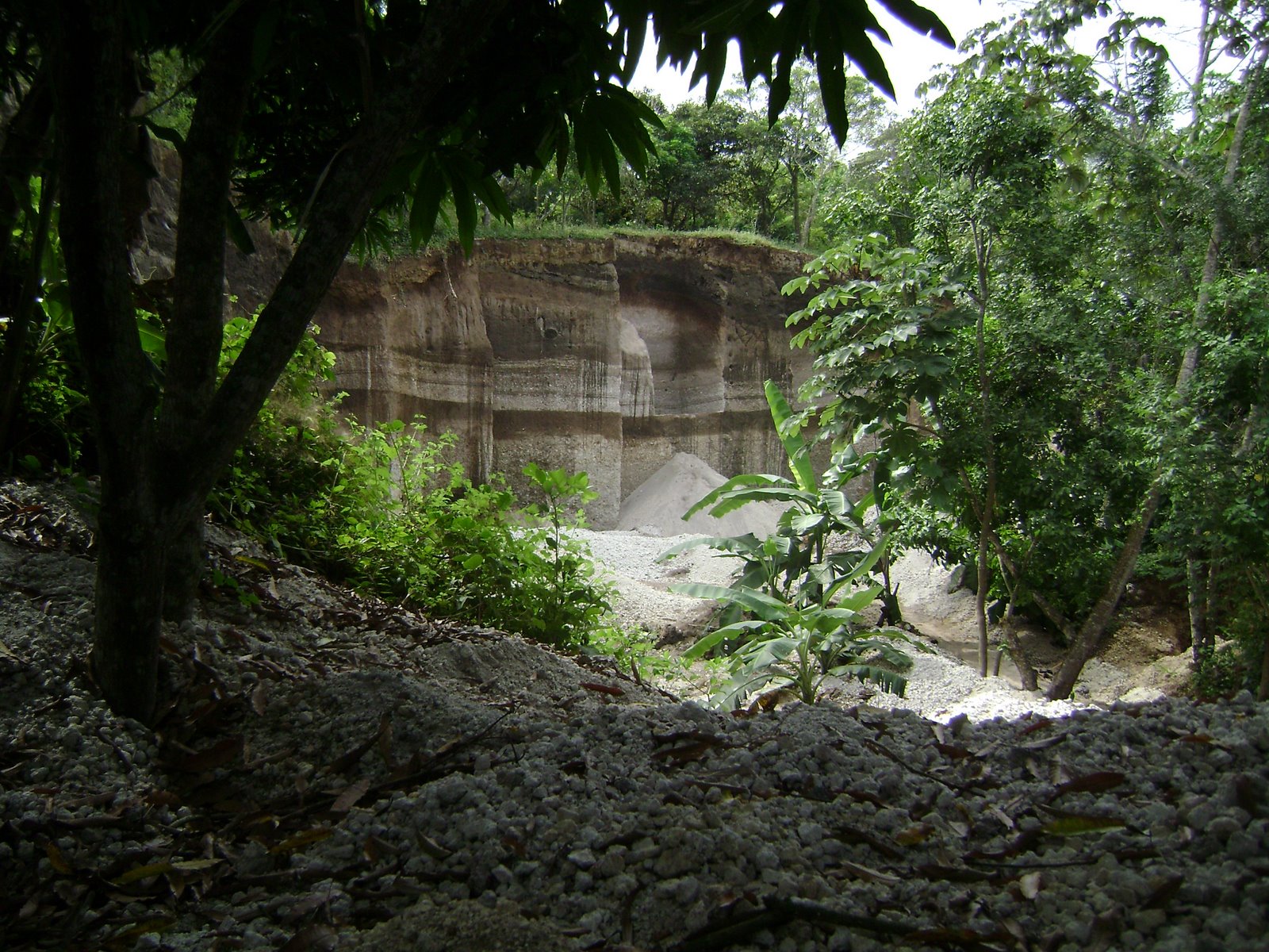[DSC00002.JPG]