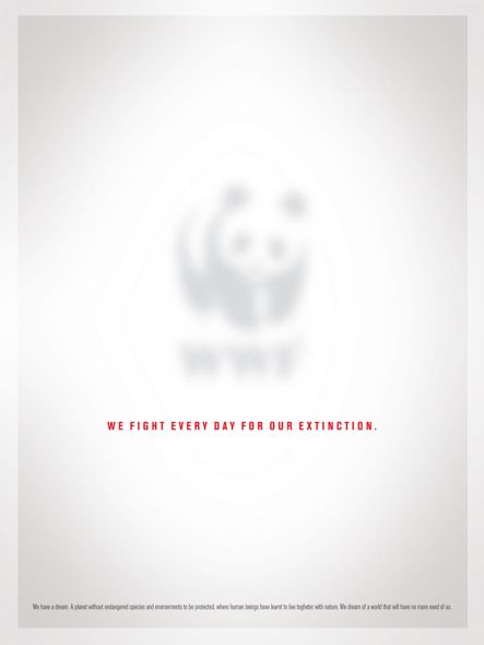 [wwfDream.preview.jpg]