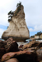Rock formation at Cathedral Cove