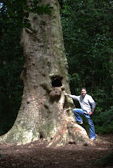Cory and a 2000 year old Puriri tree