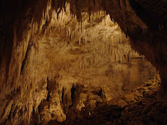 Stalactites - Waitomo Caves