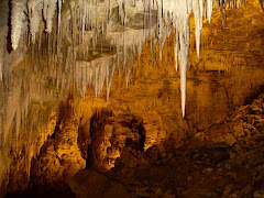 Stalactites - Waitomo caves
