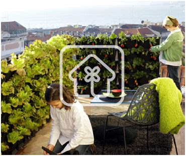 como conseguir un pequeño huerto en casa o un minijardin en el interior