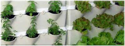 minijardines y minihuertos para interior y exterior
