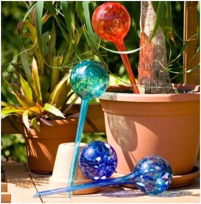 [regar_plantas_aqua_globes.JPG]