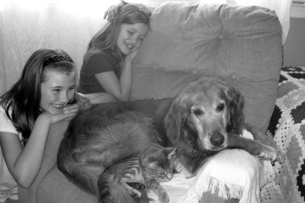 The Life I Live