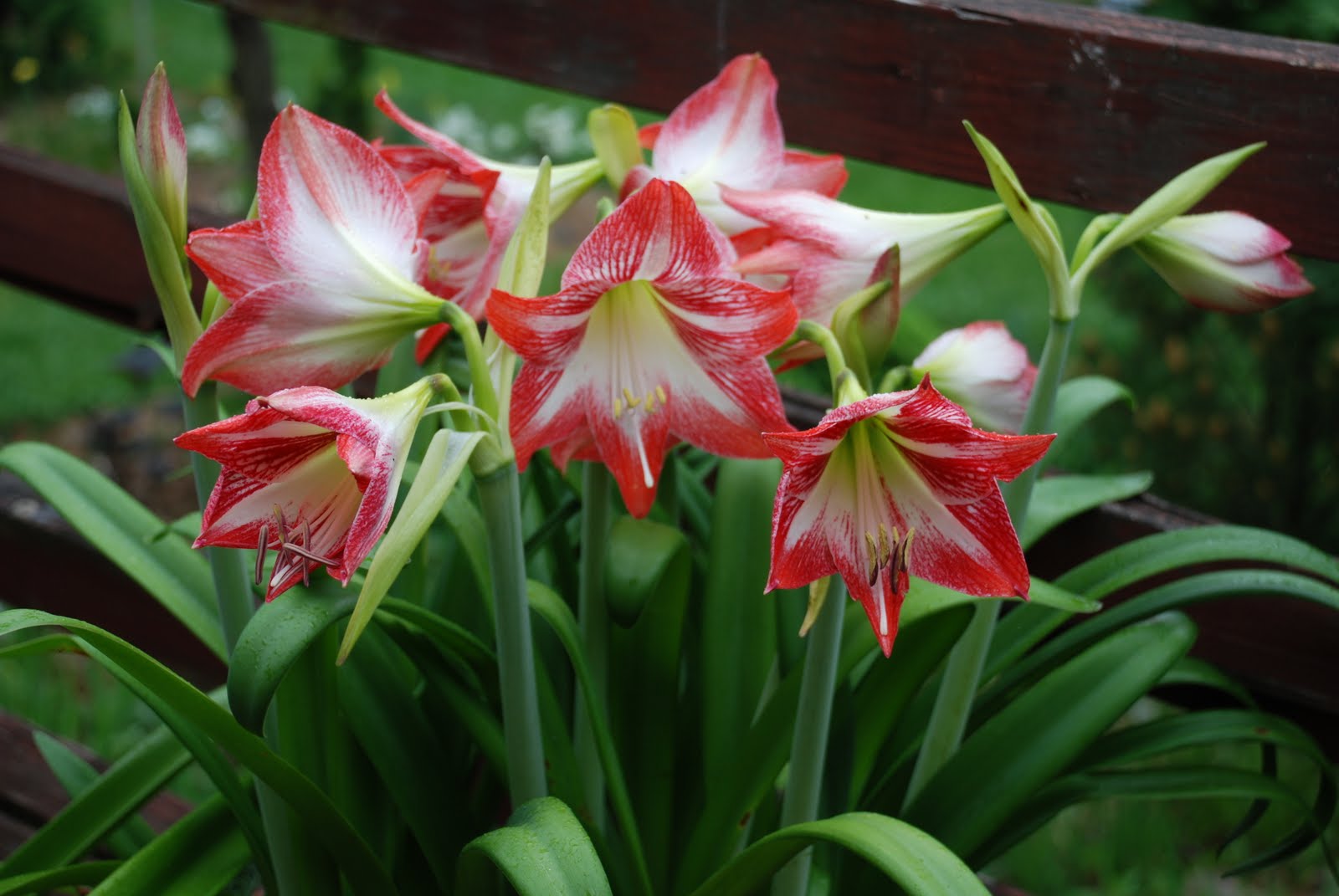 [DSC_0880+(841).JPG]