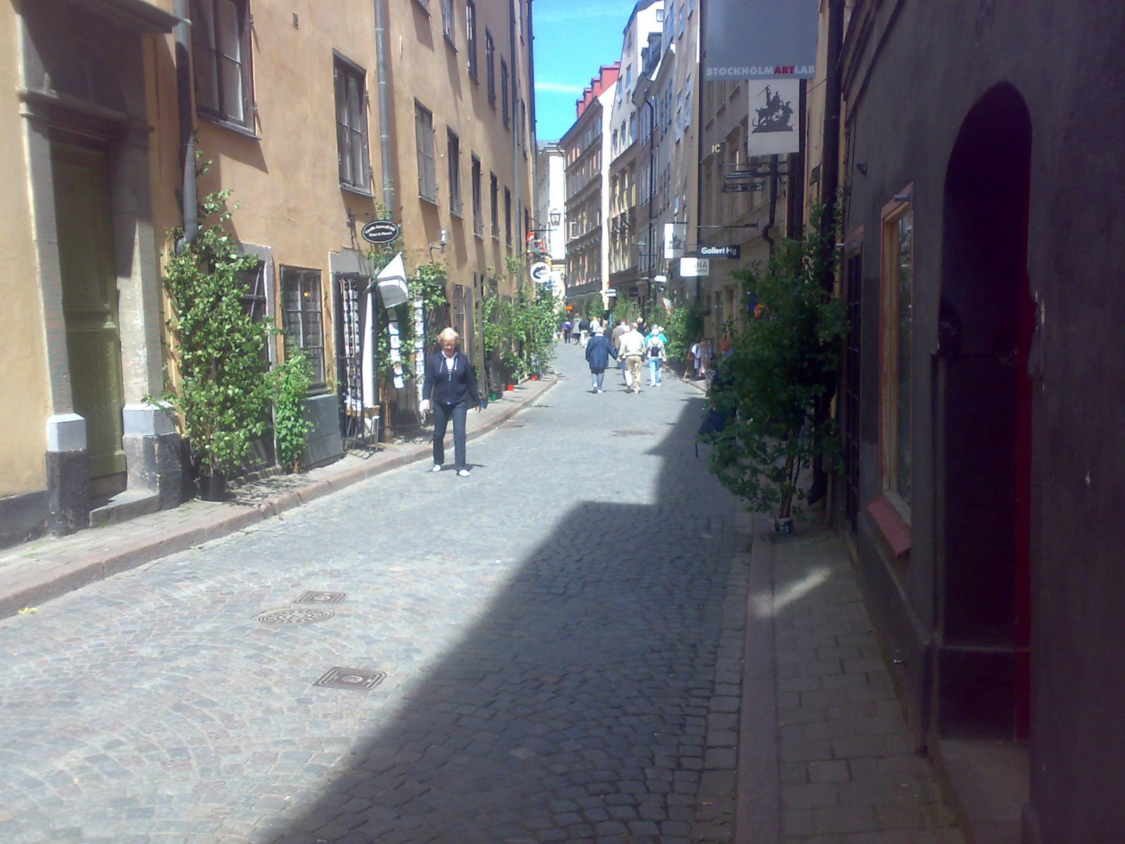 [070620091484.jpg]