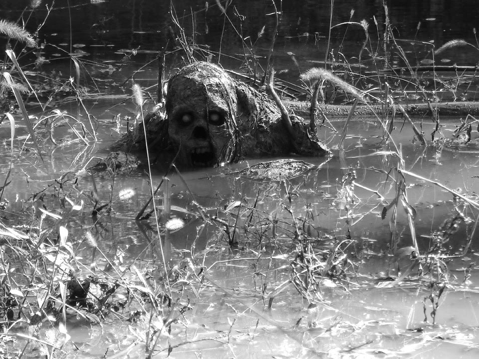 swamp attack stinky swamp attack stinky