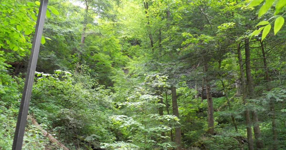 Nick's travel Backwoods Kentucky