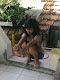 Foto saya