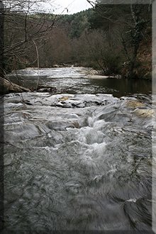 Río Baias a su paso por el Pte. de Aldarro