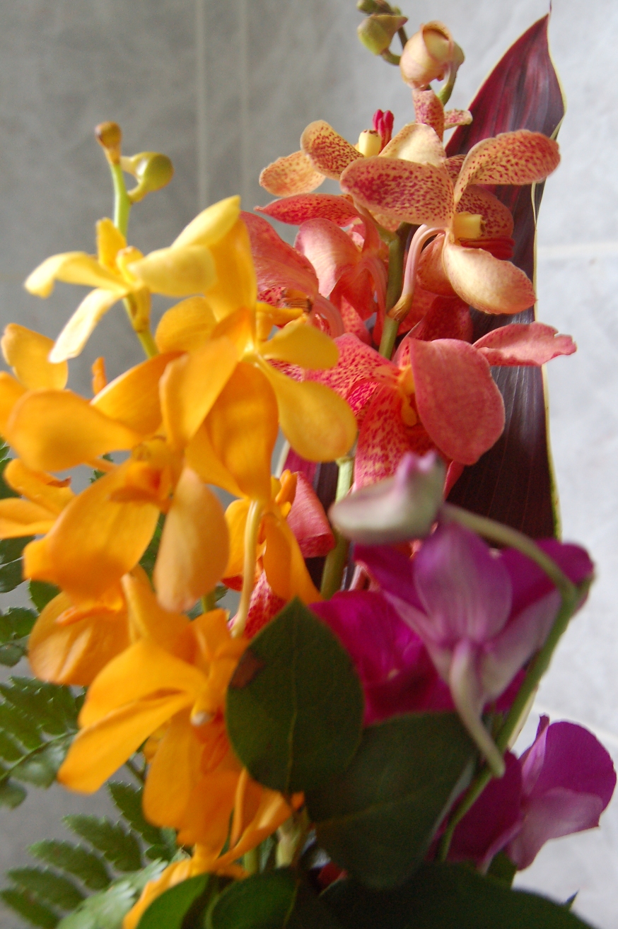 [flowers+004.JPG]