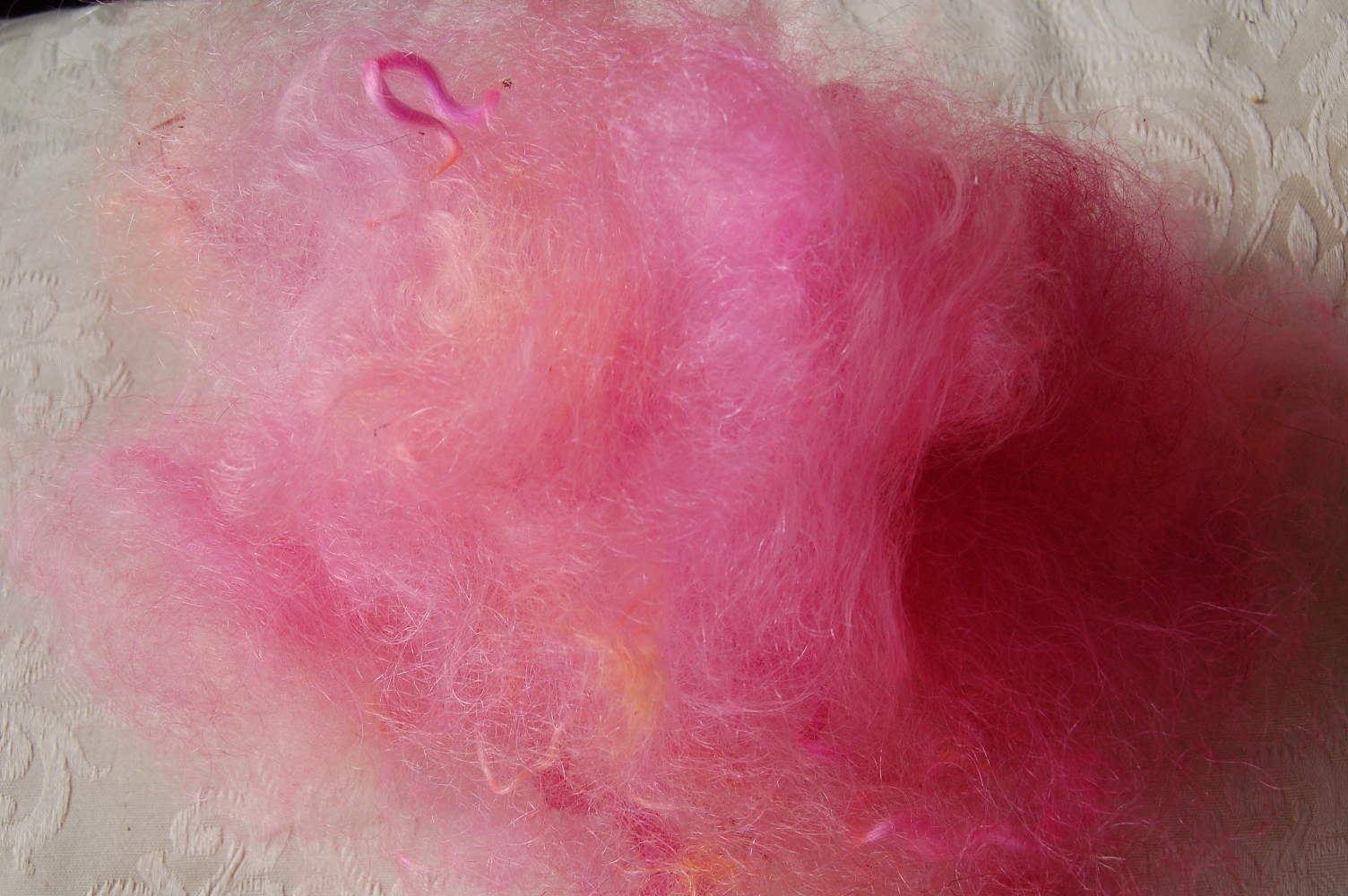 [wool+008.JPG]