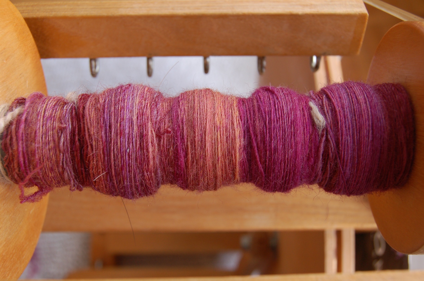 [wooldog+008.JPG]
