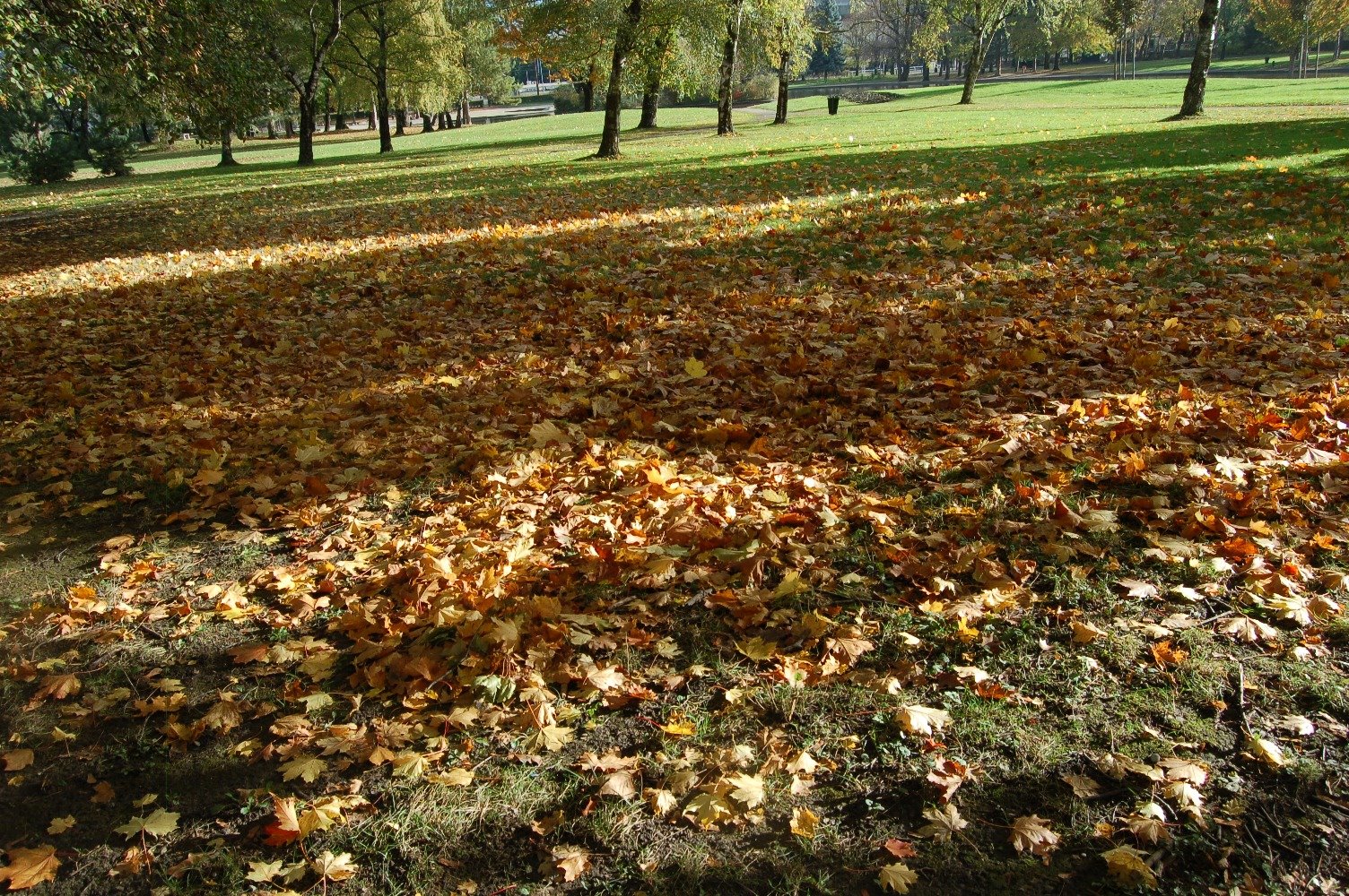 [November+08+001.JPG]