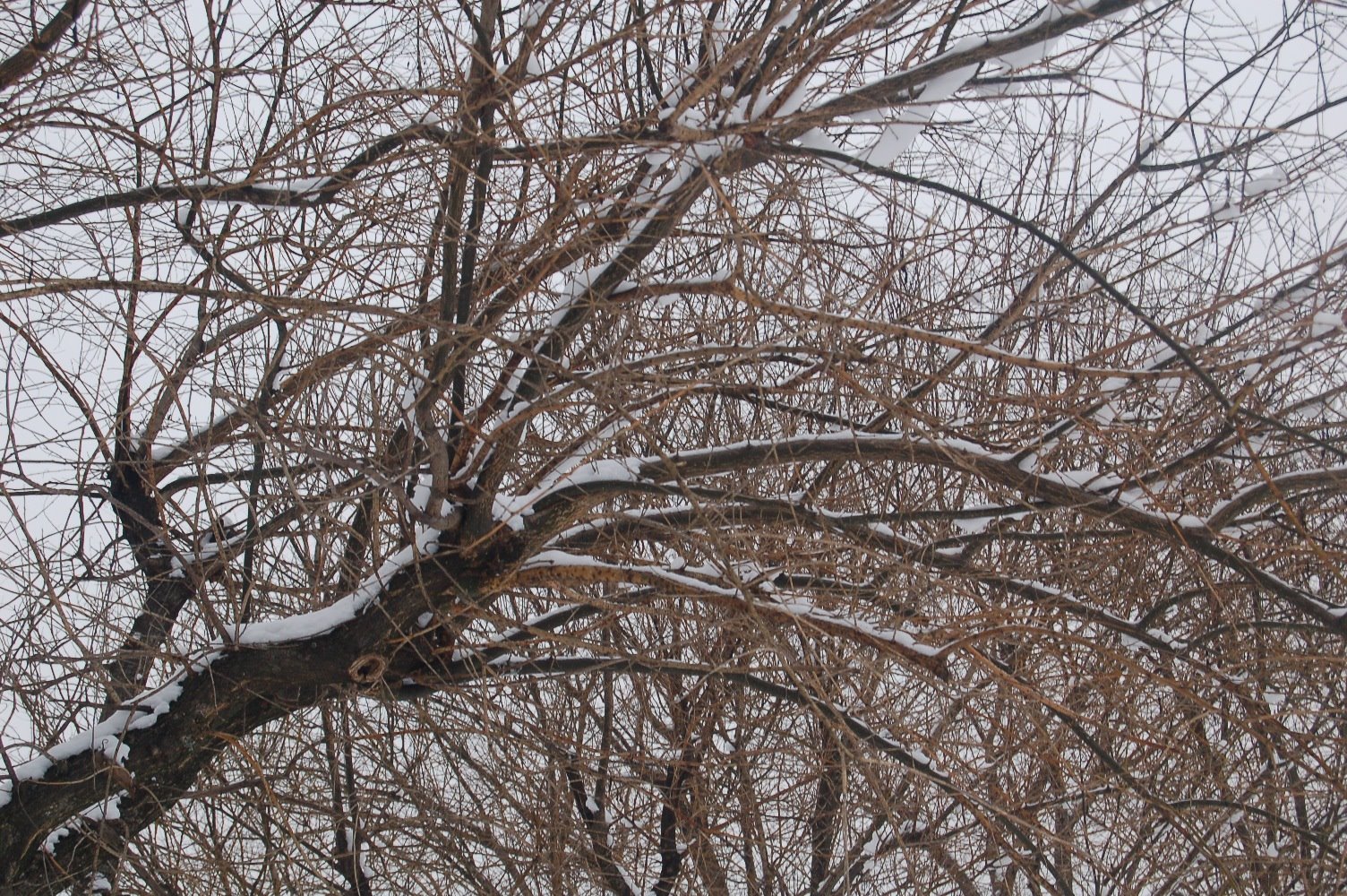 [jan09+013.JPG]