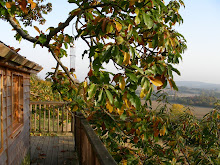 la cabane du perche