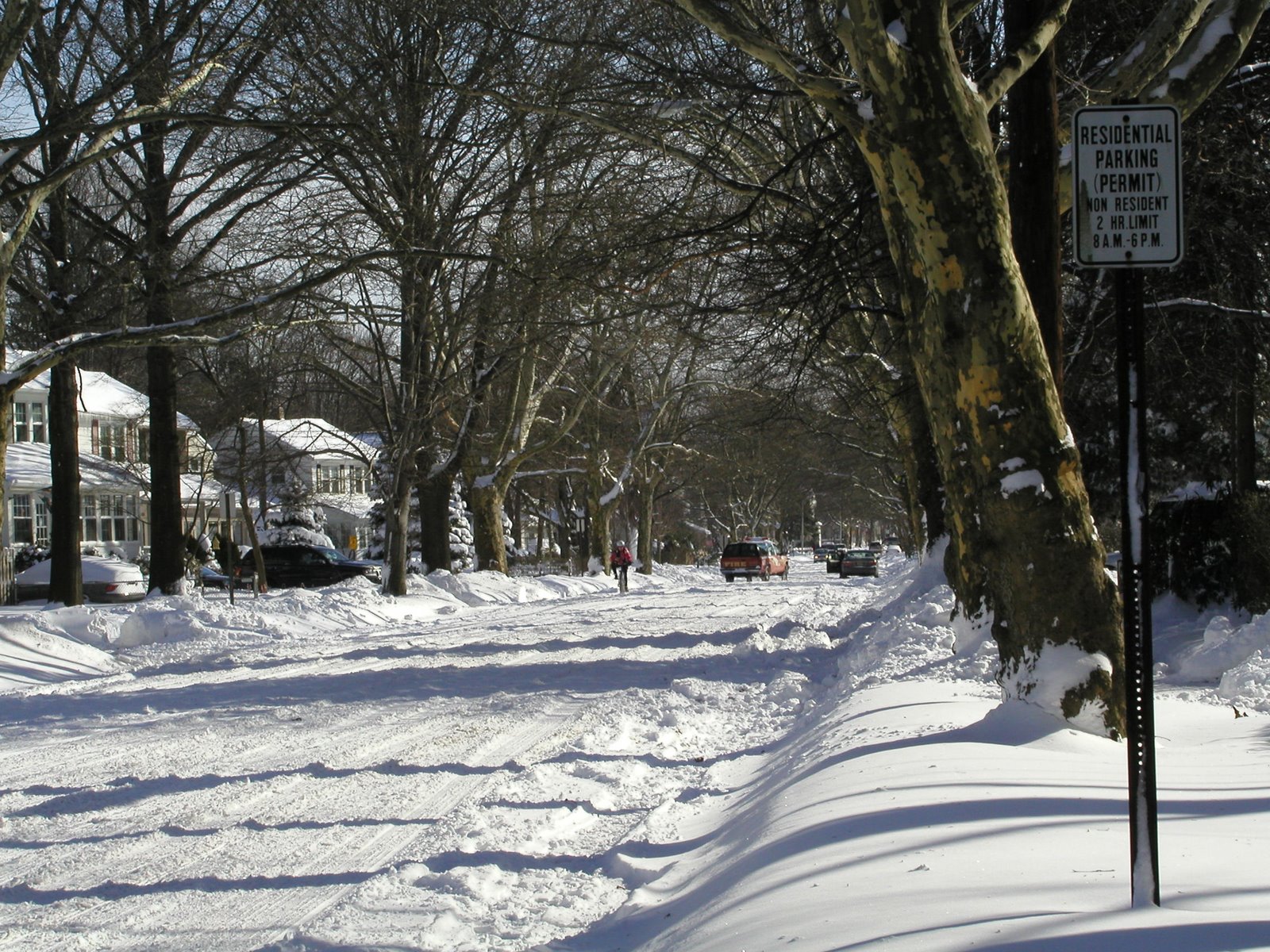 [driving+in+snow.jpg]