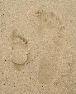 [footprints.jpg]