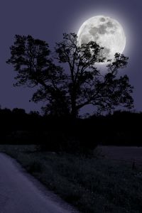 [moon+dark.jpg]