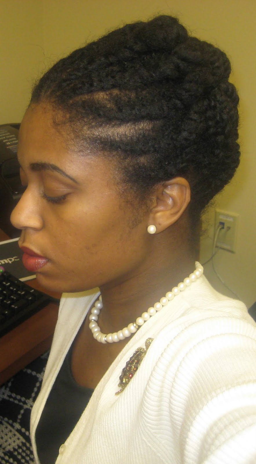 Naturally Elegant Hairstyle Two Strand Flat Twists Two