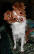 Loki