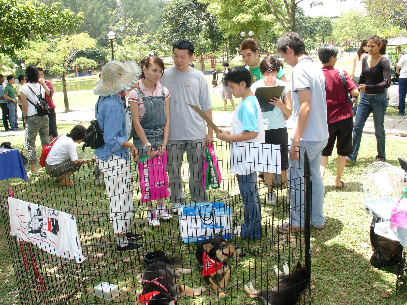 [DSC04808.JPG]