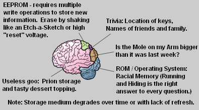 [What+your+brain+is+actually+FOR+v3.PNG]