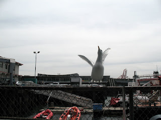 Seagull catching chips at Ivars