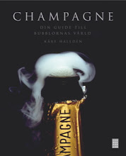 Champagne - din guide till bubblornas värld