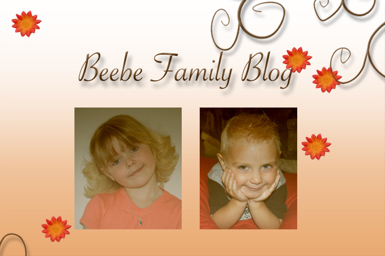Beebe Family Blog