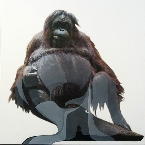 [artwork_images_142114_443951_ryan-hackett.jpg]