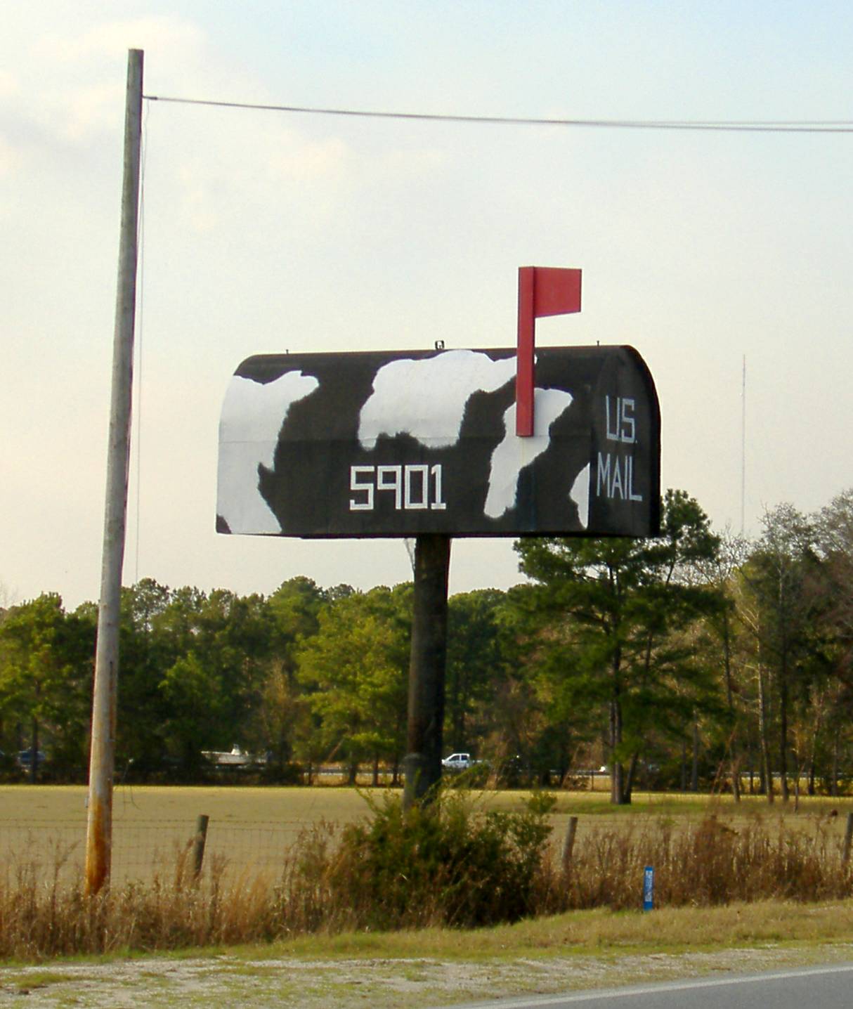 [pooler+cow+box.jpg]
