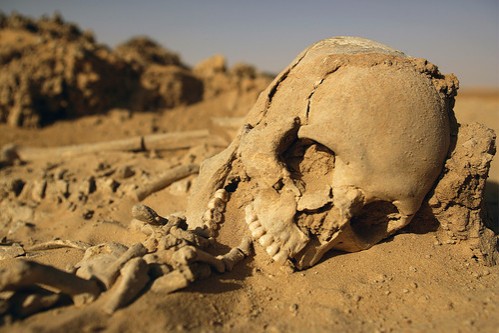 [photo,desert,dirt,sand,skeleton,skull-396fa8ac094734d064a517779ee6f6cf_h.jpg]