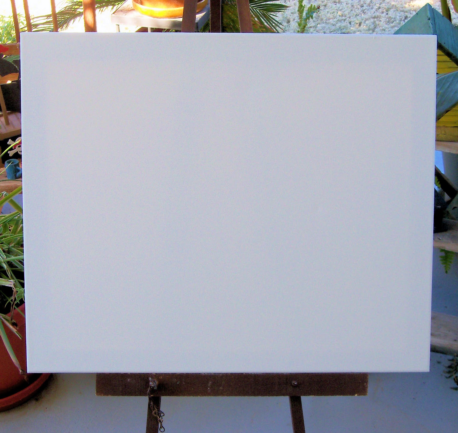 A Blank Canvas