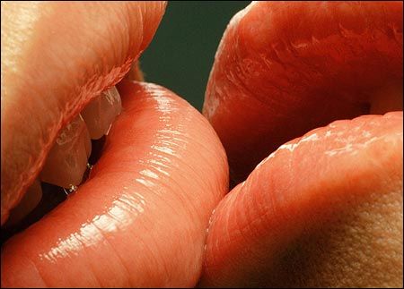 [lip.aspx]