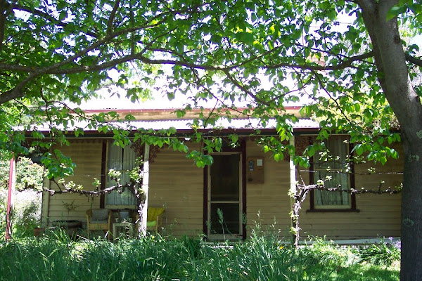 Pear tree cottage!