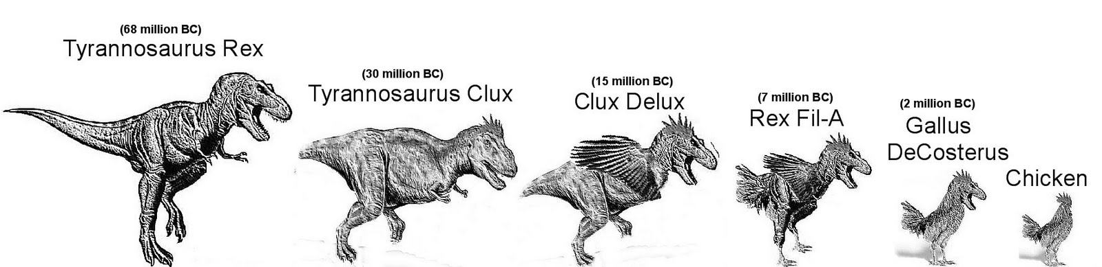 T Rex Evolution