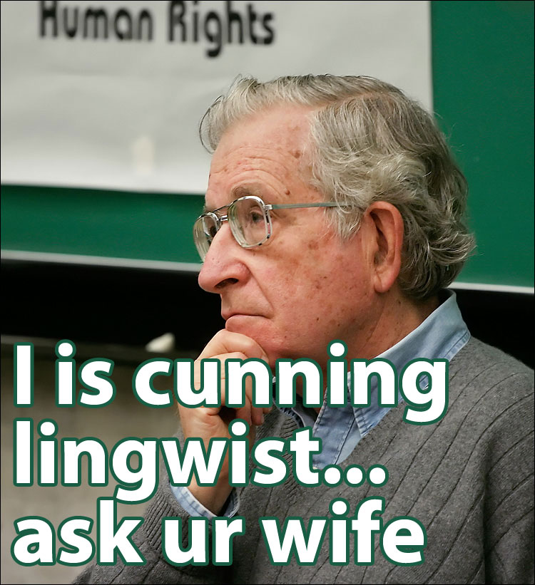 [chomsky.jpg]