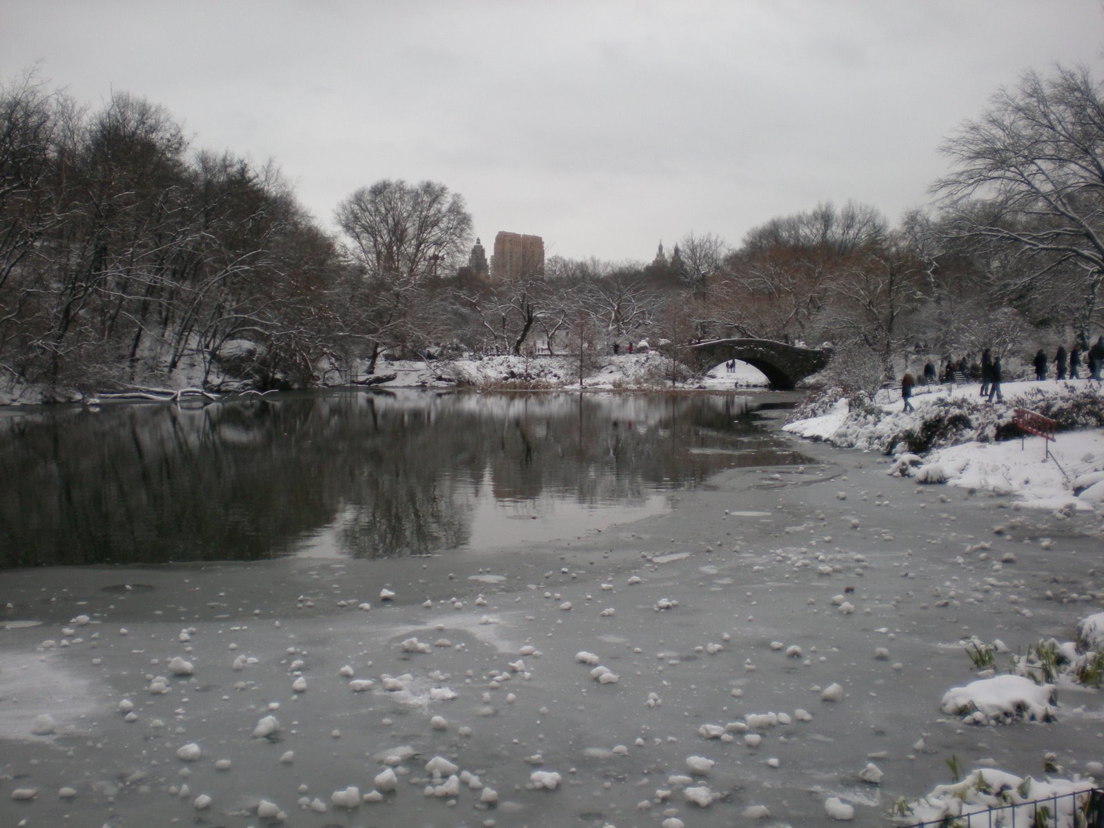 [DSCN0158.JPG]