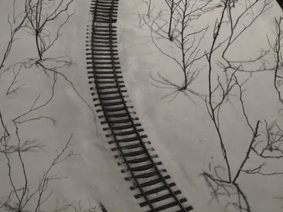 [IMG_3801.JPG]