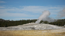 old faithful 1 year anniversary Yellowstone