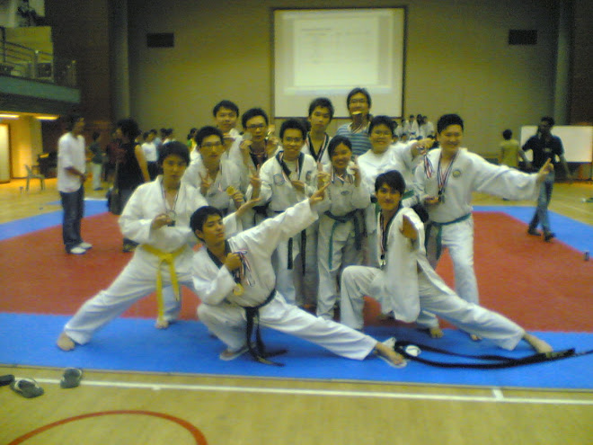 kung fu style + medals