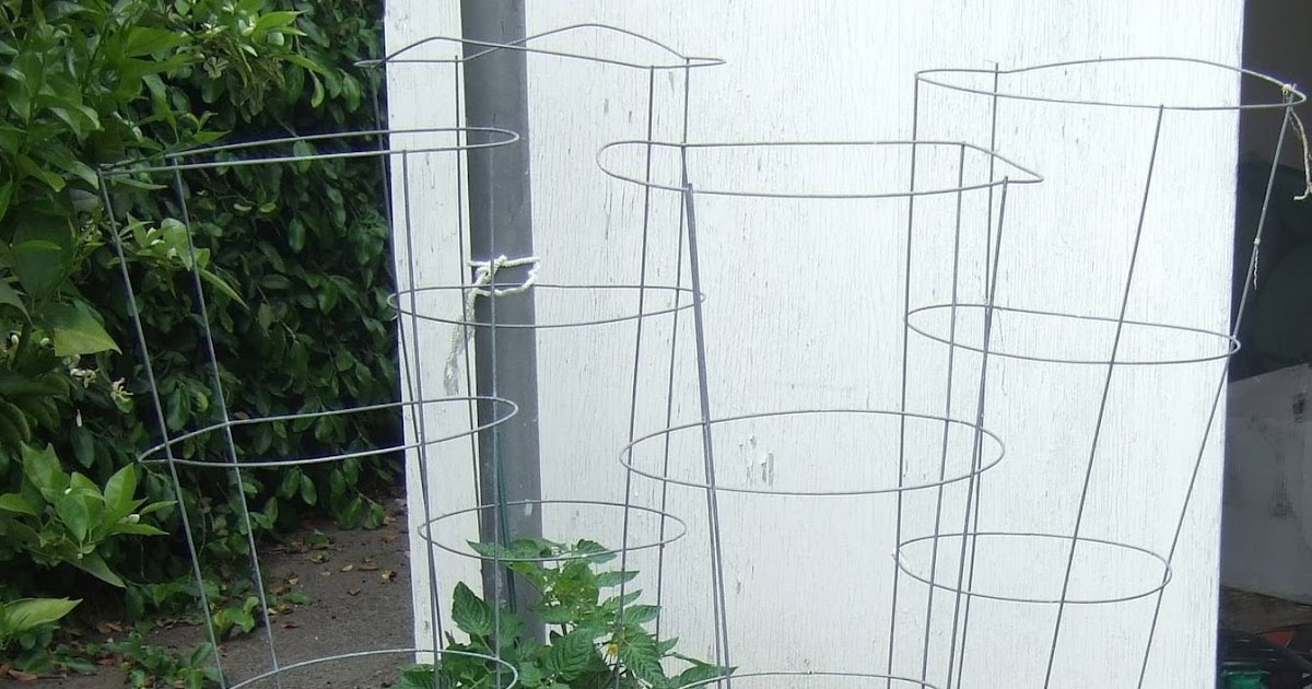 My Southern California Vegetable Garden Modding Tomato Cages